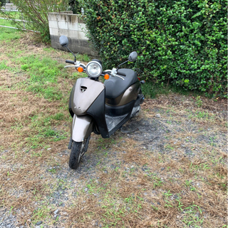 4. AF67トゥデイ 原付 バイク 50cc 車体 本体 ショップ