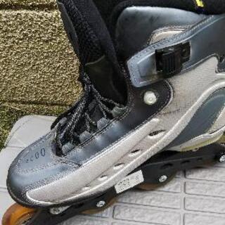 NIKEのローラーブレード28cmの画像