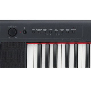 YAMAHA Piagerro NP-31の画像