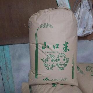 令和2年産きぬむすめ10kg
