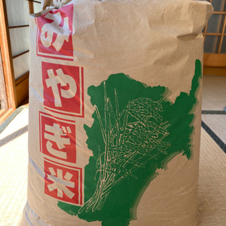宮城米　新米30㎏つや姫　玄米　