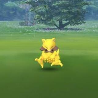 ポケモンGO - 友達