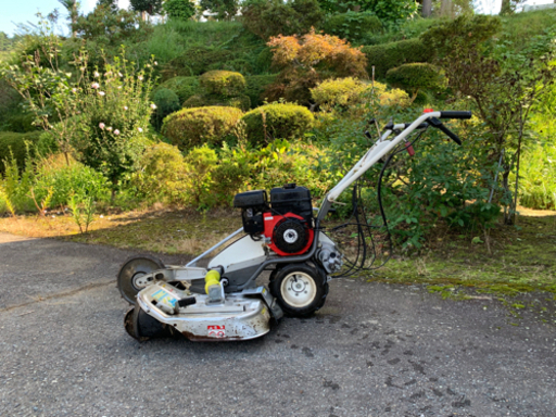 ウイングモア①