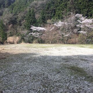 山林にあるヘリポート跡をソロ専用のキャンプ場として貸し出しします