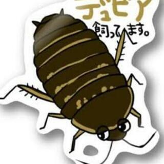 デュビア