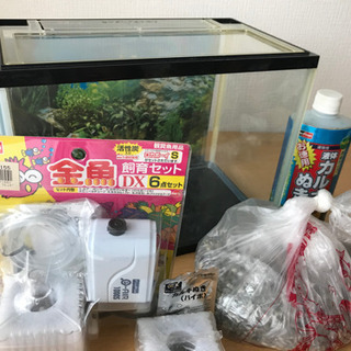 金魚飼育セット