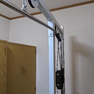 WILDFITラットプルマシン　トライセプスロープ付