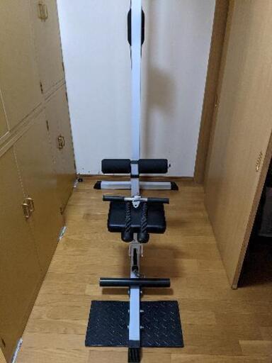 WILDFITラットプルマシン　トライセプスロープ付