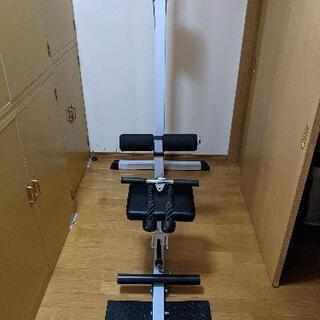 WILDFITラットプルマシン　トライセプスロープ付の画像