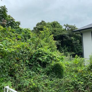 山口県下関市彦島の山林を売ります  激安１万円！ - 土地販売/土地売買