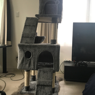 猫用品