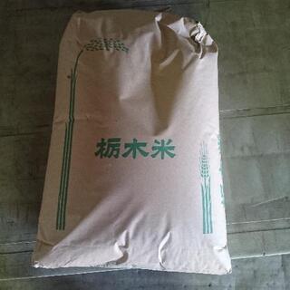 令和2年産 栃木のコシヒカリ