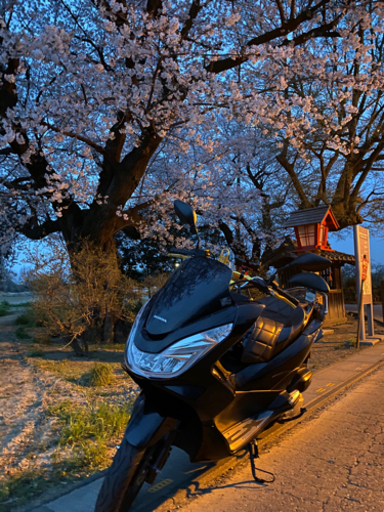 バイク pcx125 jf56