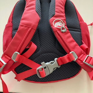 マムート　リュック　ピンクの画像