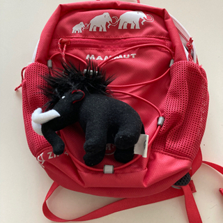 マムート　リュック　ピンクの画像