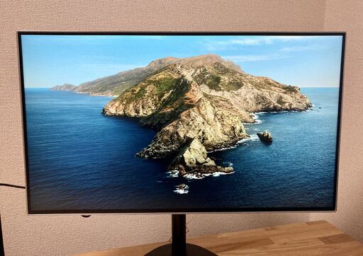 【引取限定】LG 24MP88HV-S 24 インチ モニター ディスプレイ + モニタースタンド