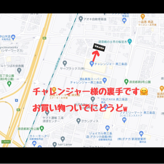 【凪メダカ】天海　オス1メス2  の画像