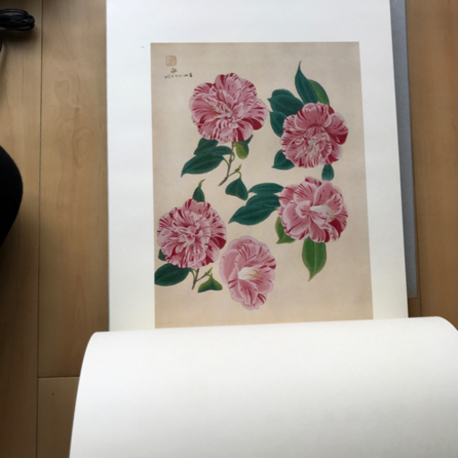 日本画家　中村岳陵画集　傳神譜