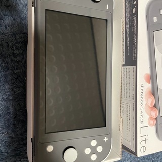 Switchライト　グレーの画像