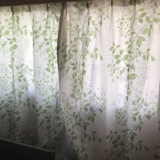 カーテン「樹木柄」２枚組　約幅１００×丈１４０ｃｍ、レースカーテ...