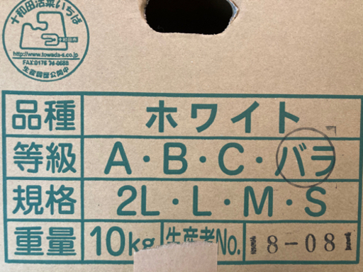 にんにく ホワイト バラ 10kg