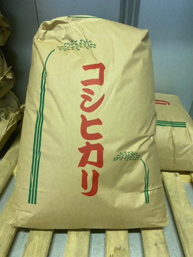 新米！今しか味えない美味しさです！コシヒカリ　令和3年9月11日収穫米　減農薬黒酢米