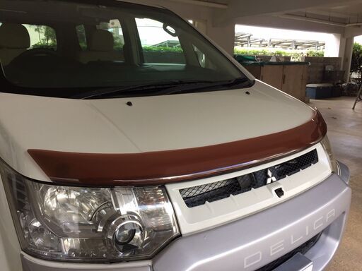 ☆EGR製 バグガード　 デリカD5　CV5W　中古品