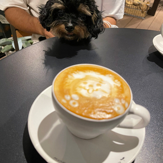 動物好きな人と一緒にラーメンを食べにいきたい！