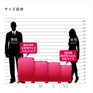 機内持ち込みサイズキャリーバッグの画像