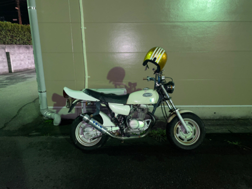 エイプ100 50登録