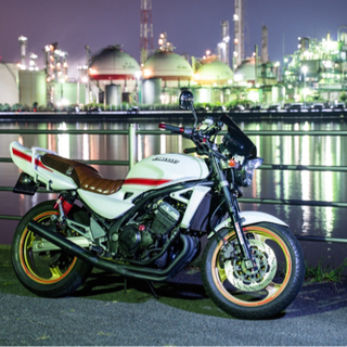 ZR250B 