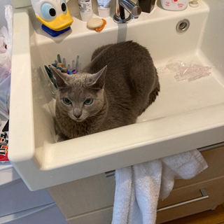 新生児、ベビー用品募集します🆕