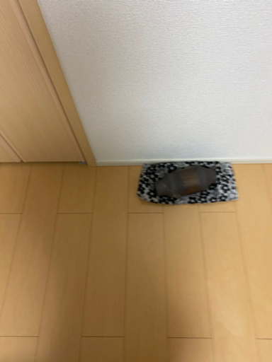 トヨタ20後期プリウス触媒カット済
