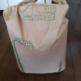 令和2年産  あきたこまち  精米済