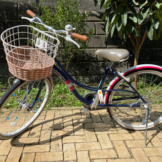 子供 自転車 22インチ リトルアミティ Little Amitie ネイビー フリー