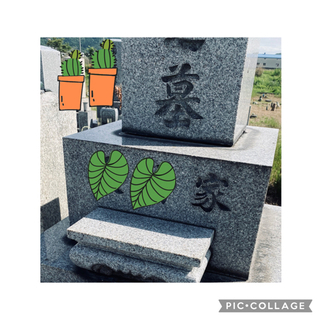 墓石墓地洗浄　踏石延石施工据え直し　コンクリート床ブロック洗浄　DIYアドバイザー他 - 彦根市