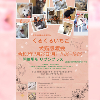 くるくるいちご譲渡会