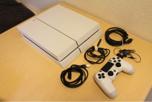 PS4本体　ホワイト+Dualshock コントローラー(グレーブルー)