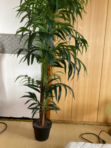 人工観葉植物　フェイクグリーン