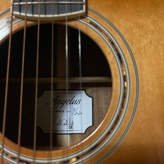 エレアコ Paul Reed Smith PRS SE Angelus A40ETS の画像