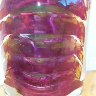 グソクムシ　透明骨格標本