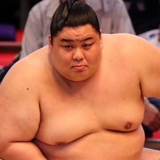 明日相撲観戦しませんか？