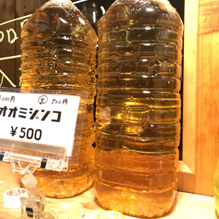 ミジンコ　品種　タイリクミジンコ！増やしたい人向けです！