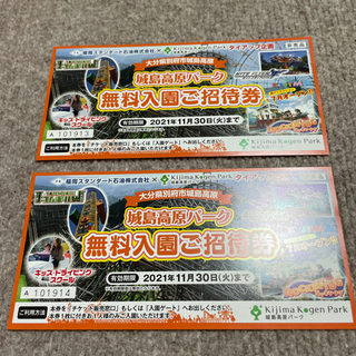 城島高原パーク無料入場券