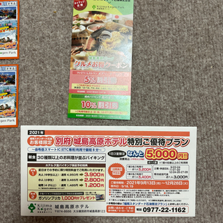 城島高原パーク無料入場券の画像