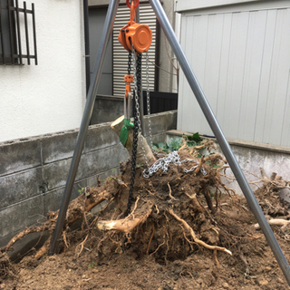 庭の木や根っこにお困りの方、自分で抜けますよ。