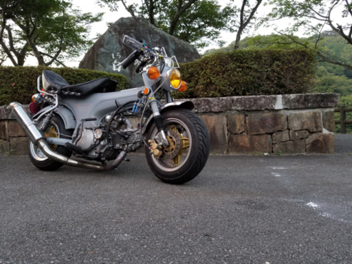 ホンダ ダックス