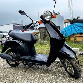 トゥデイ　外装シート新品
