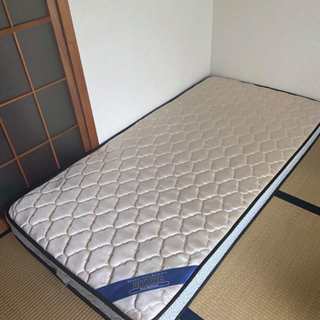 販売中！for free 
