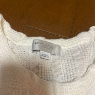 メンズ　ティノラス  M Tシャツの画像